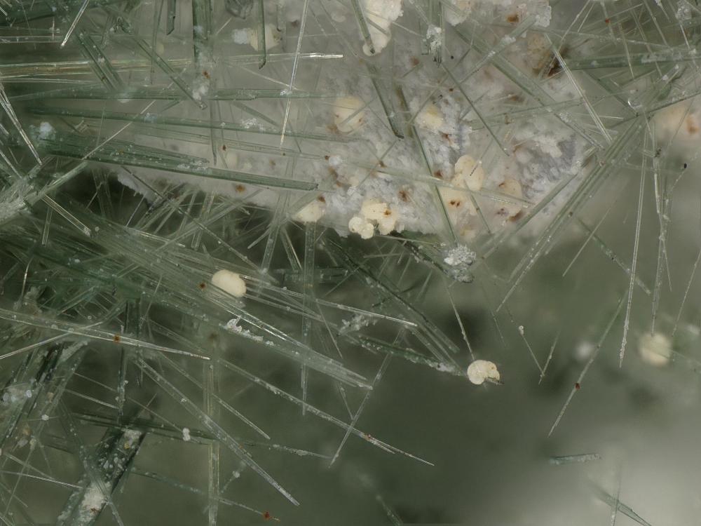 Sphaerobertrandite